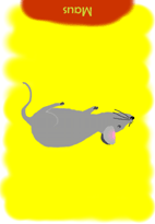 Maus umgekehrt